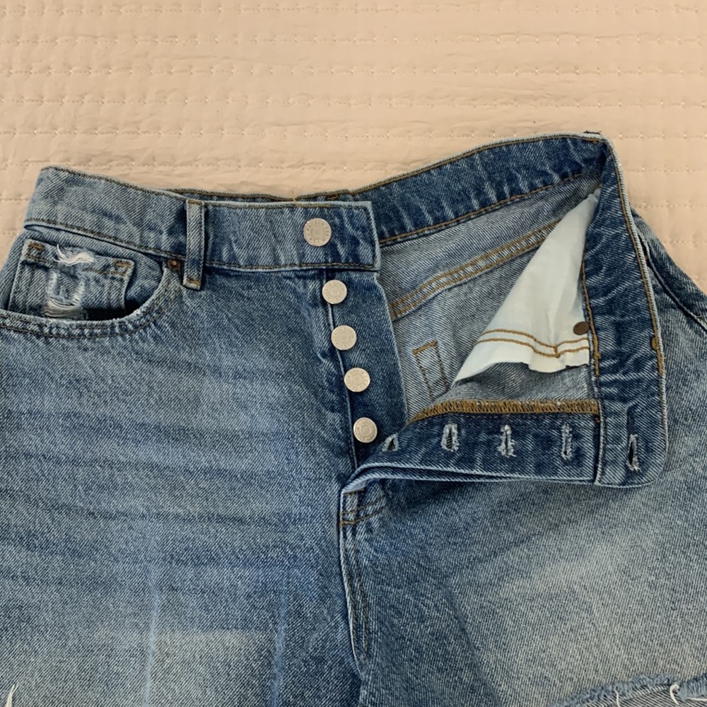 PacSun Icon Shorts - Picture 3 of 6